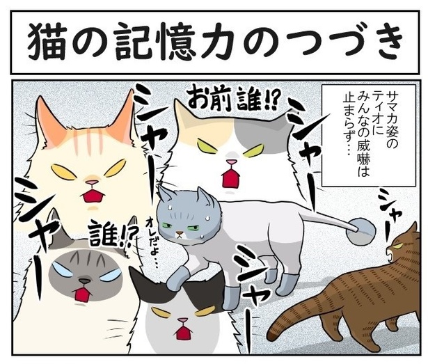 猫の記憶力のつづき1