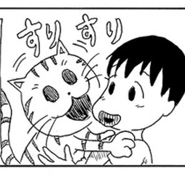  衝撃を受けた野良猫たちの風習