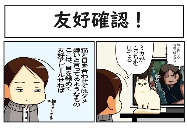 画像32 / 142＞19匹の猫と暮らす猫まみれの幸せな日常漫画【もちこ