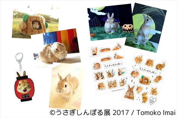 うさぎ界の神と崇められるモキュ様の新作限定グッズは必見！