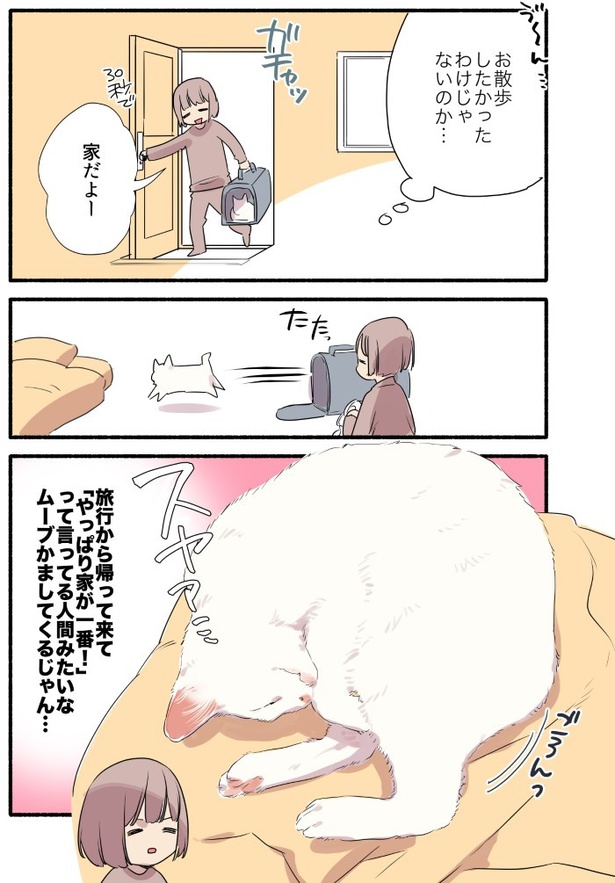 愛されたがりの白猫ミコさん10話P005