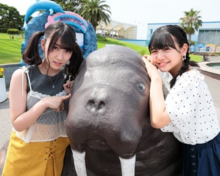 【#アルイテラブル】SKE48の水野愛理と上村亜柚香が動物やおもちゃに大はしゃぎ！