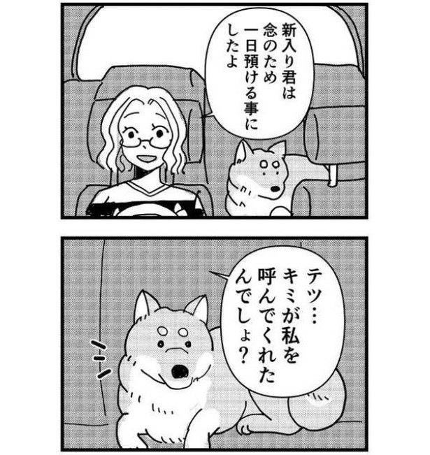 「君は最高の相棒」(13)