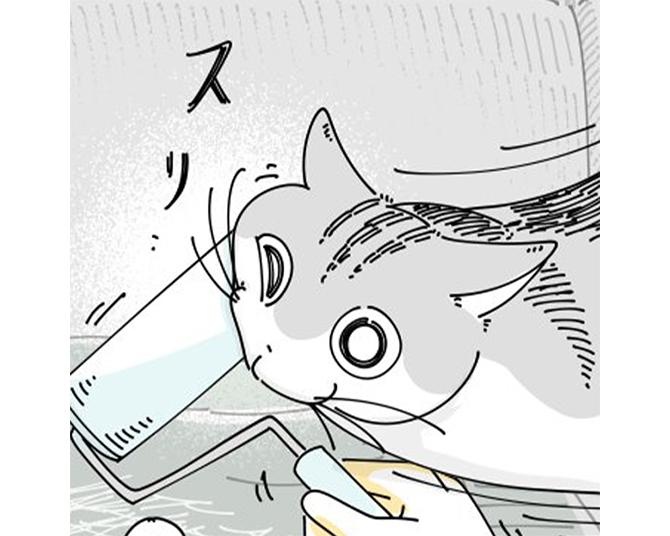 【ネコ漫画】コロコロに顔を付けて遊ぶ愛猫!?無邪気なその姿に「あるある」「かわいすぎる」と共感コメント続出