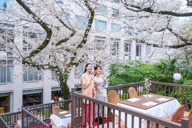 3つのホテルに囲まれた日本庭園で桜を堪能できる