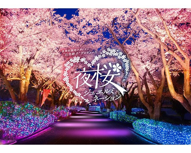 よみうりランド60周年バージョンの「夜桜ジュエルミネーション」が3月19日から開催！HANA・BIYORIでは温泉に浸かったあとのお花見も