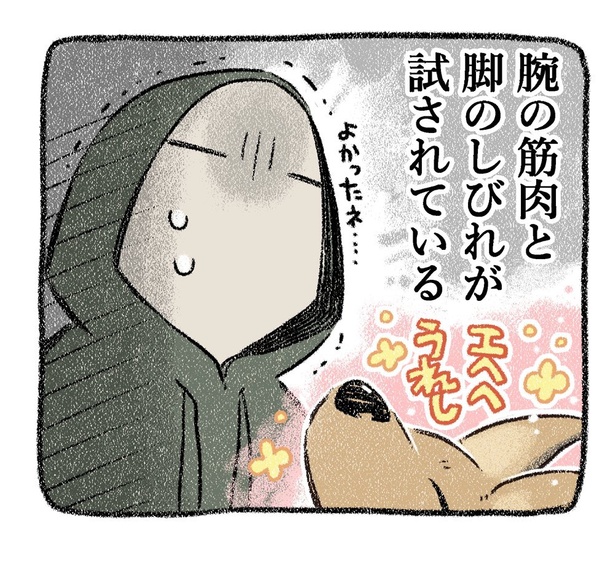 保護犬茶々のお話【第10話】(4)