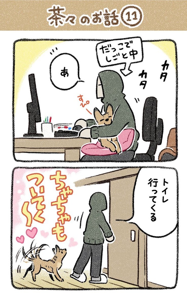 保護犬茶々のお話【第11話】(1)