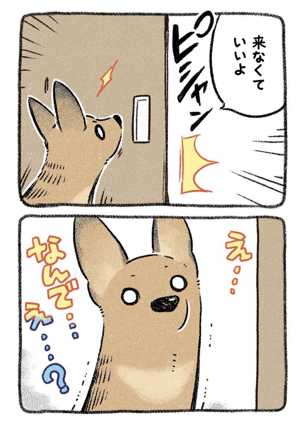 保護犬茶々のお話【第11話】(2)