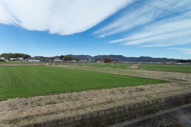  栃木に近付くにつれて広がる、のどかな田園風景に心が癒やされる