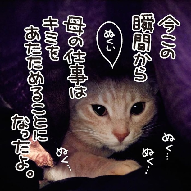 寒い日のお仕事06