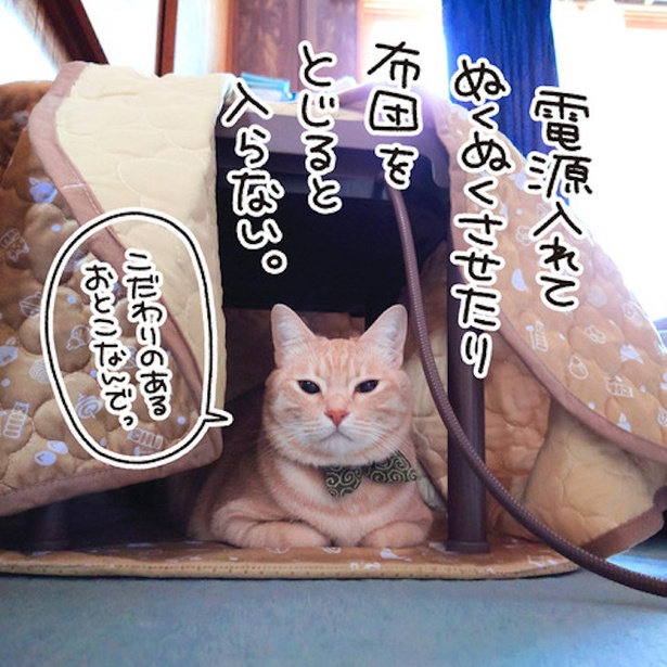 画像131～135/167＞「愛猫なら“どんな塩対応”でも許せる！」愛猫へ