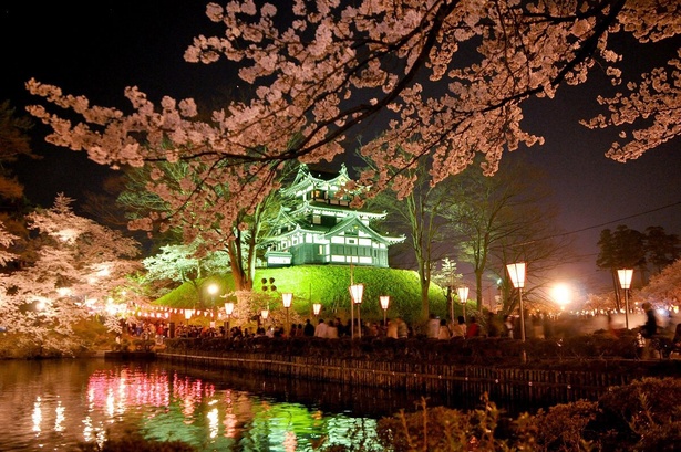 見事にライトアップされた高田城と桜のコラボレーション／高田城址公園