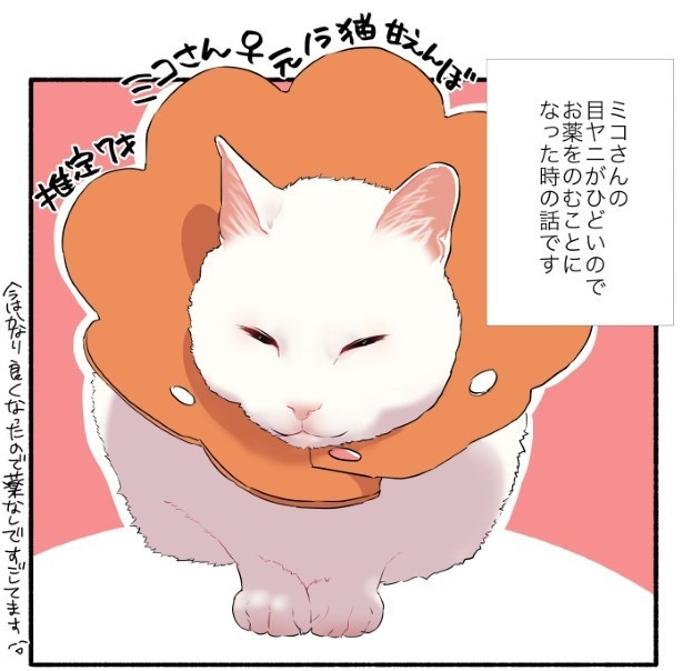愛されたがりの白猫ミコさん14話P01