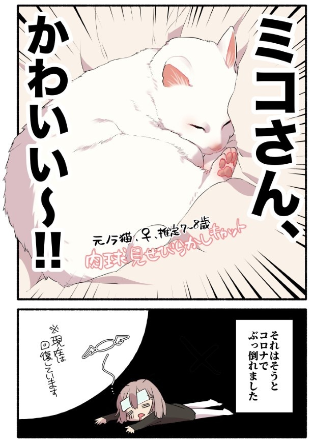 愛されたがりの白猫ミコさん13話P01