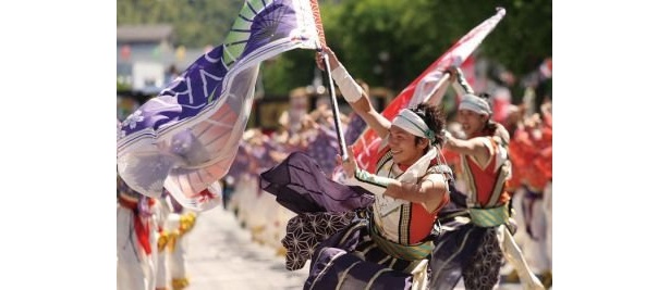 「よさこい節」に合わせて踊り子が舞うよさこい祭り