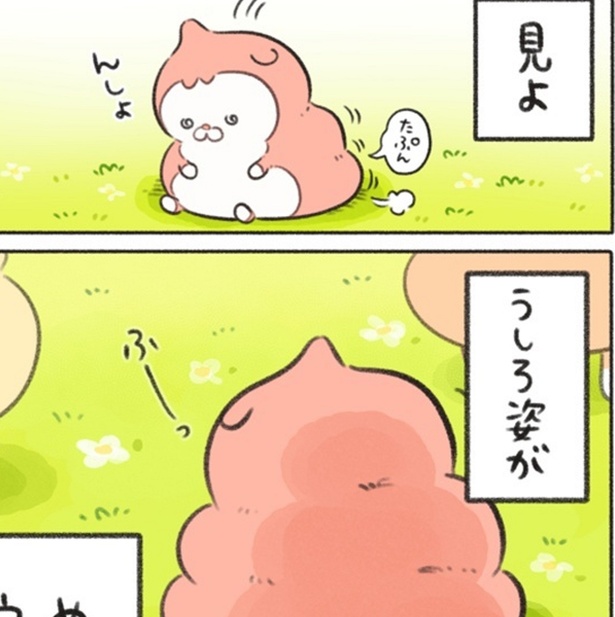 後ろ姿がめちゃくちゃウン…カワイイ!