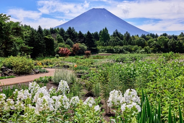 富士山とも撮影できる素敵な景色