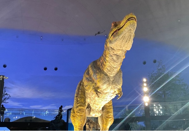 福井県立恐竜博物館(館内)