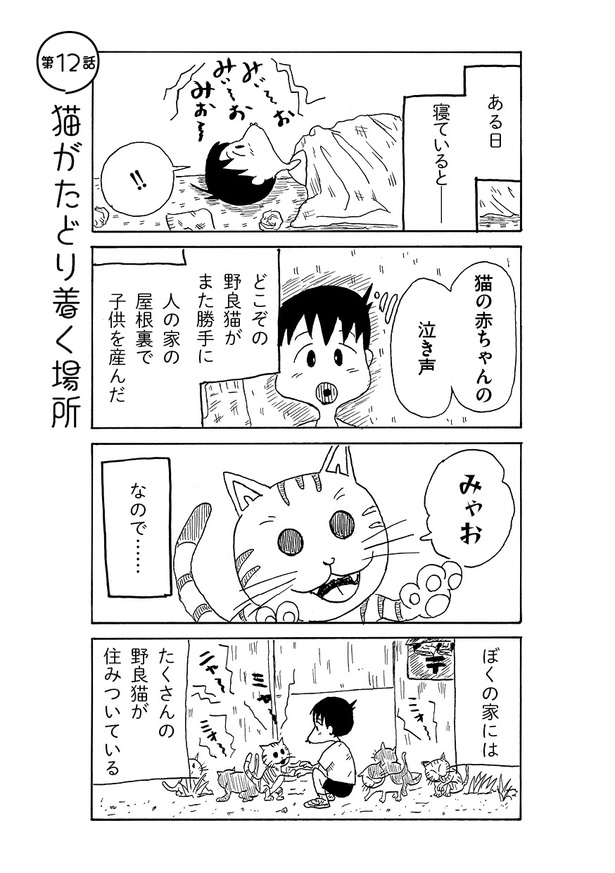 12話01