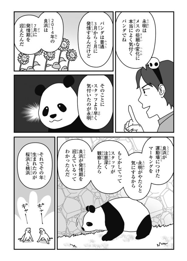 「パンダのミライー浜家・良浜 いのちの物語ー」#11(6/14)