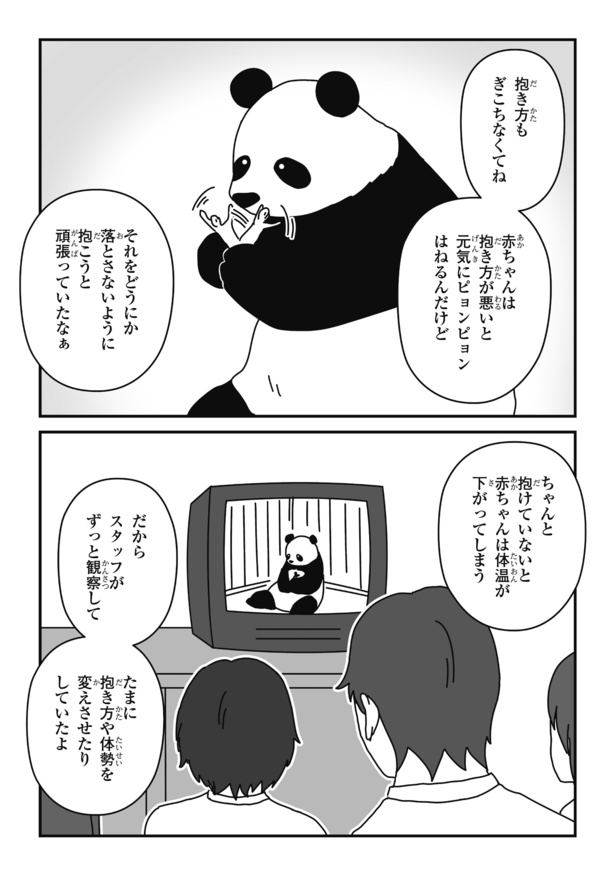 「パンダのミライー浜家・良浜 いのちの物語ー」#12(2/16)