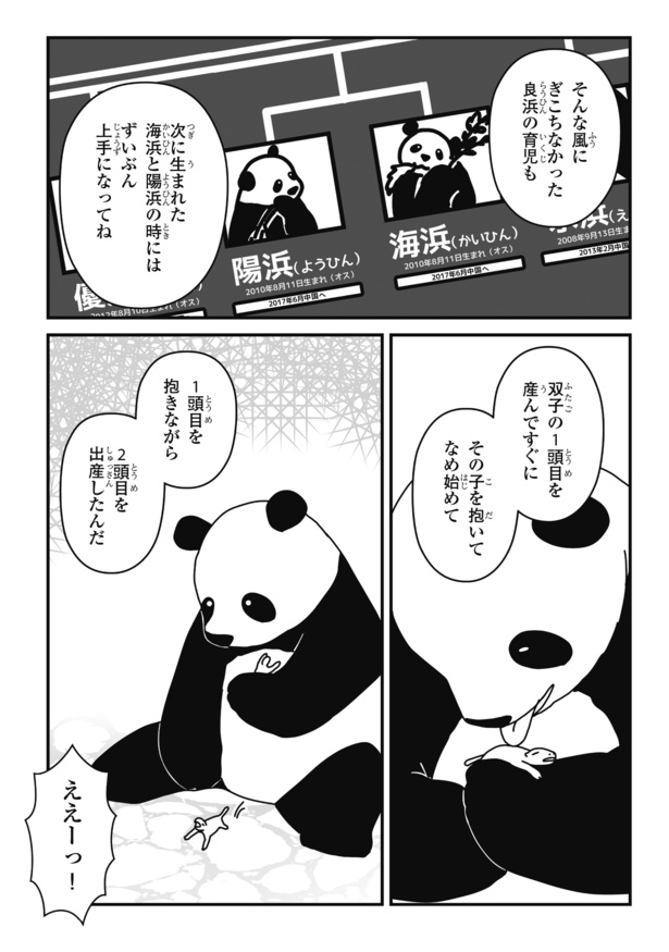 「パンダのミライー浜家・良浜 いのちの物語ー」#12(3/16)