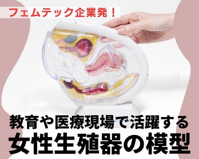 フェムテック企業発「女性生殖器模型」が教育や医療現場で活躍！自身の体をよく知らない女性…背景にある日本の実情とは？