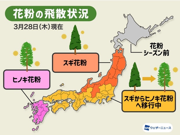 服に付着して家に入る花粉数 窓を開けた場合の6倍以上 セール ウェザーニューズ