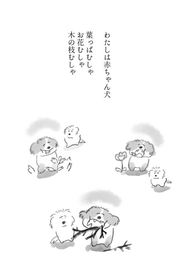 過去の「犬の詩」作品14