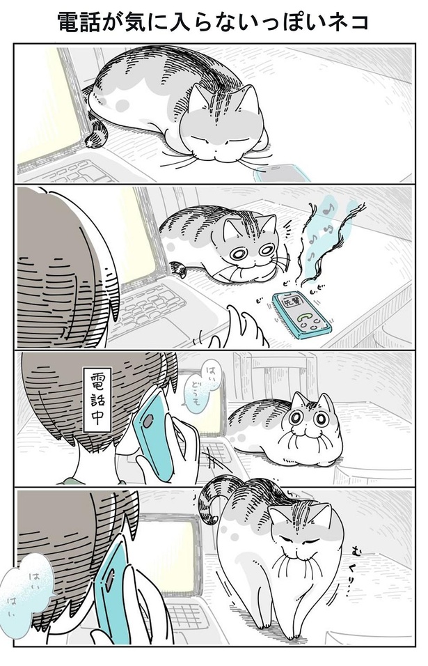 「電話が気に入らないっぽいネコ」01