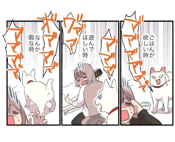 15話_白猫&青目の猫について知っておいてほしいことの話_P03