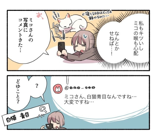 15話_白猫&青目の猫について知っておいてほしいことの話_P04