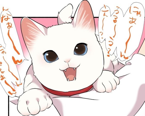 ドデカボイスだったミコさんの鳴き声に変化が…!!一体なにがあったのか？