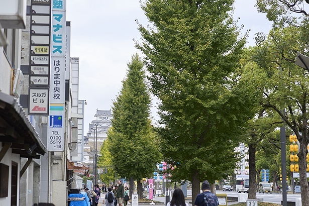 店のすぐそばに姫路のメインストリート・大手筋が通る