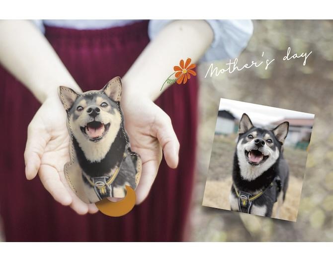 愛犬や愛猫の写真で作る、世界でひとつの本革キーケースに癒やされる！4月15日まで「母の日割」1000円オフも実施中