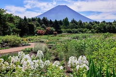 富士山を臨む絶好のロケーションに、イギリス湖水地方を彷彿とさせる英国式庭園が広がる