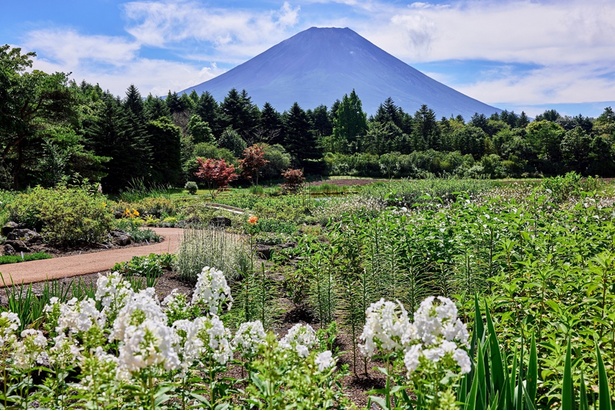 富士山を臨む絶好のロケーションに、イギリス湖水地方を彷彿とさせる英国式庭園が広がる