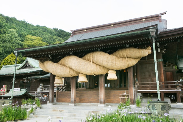 福岡観光ガイド 魅力とパワーにあふれる由緒正しい神社 宮地嶽神社 ウォーカープラス
