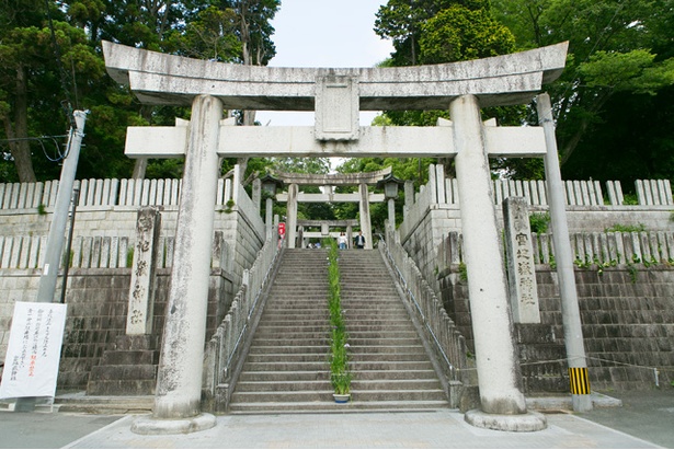 画像3 11 福岡観光ガイド 魅力とパワーにあふれる由緒正しい神社 宮地嶽神社 ウォーカープラス