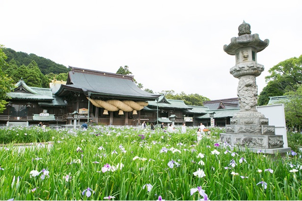 画像9 11 福岡観光ガイド 魅力とパワーにあふれる由緒正しい神社 宮地嶽神社 ウォーカープラス