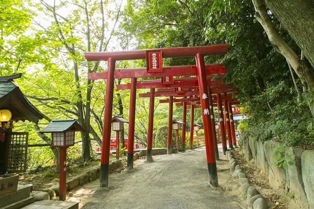 画像10 11 福岡観光ガイド 魅力とパワーにあふれる由緒正しい神社 宮地嶽神社 ウォーカープラス