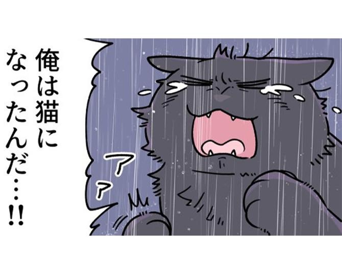 雨の中、猫になった喜びを大声で叫ぶ主人公 / 画像提供：清水めりぃ(@zatta_shimizu)