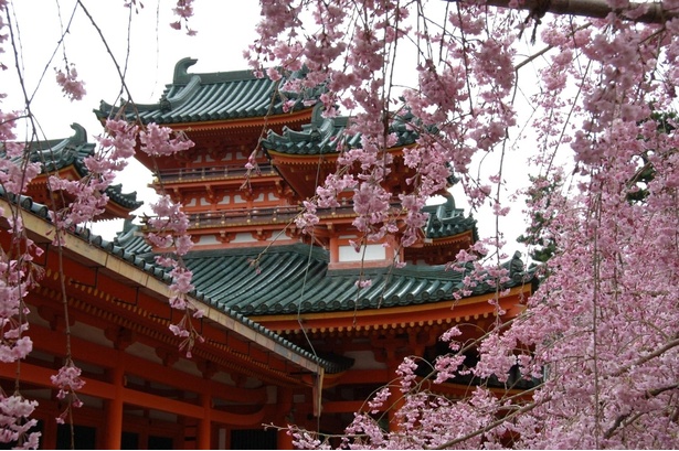 平安神宮 神苑の桜 - 京都府／しだれ桜と朱色の建築が織りなす雅な風景