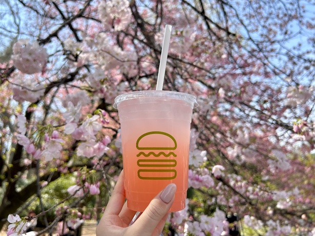 【写真】鮮やかなピンクが桜にぴったりなピーチレモネードは616円