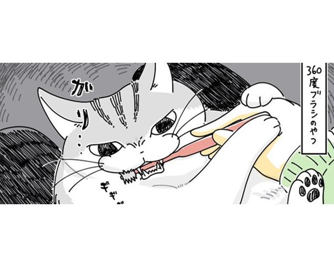 【ネコ漫画】ハミガキをとにかく嫌がる愛猫!?歯周病も予防したいが「うちはあきらめてます」など共感の声が続出！
