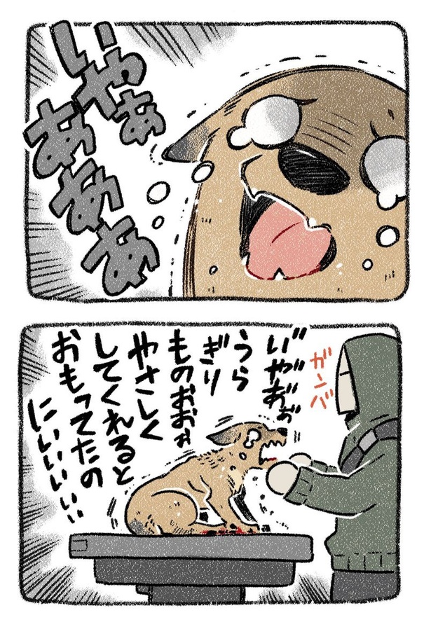 保護犬茶々のお話【第5話】(2) 