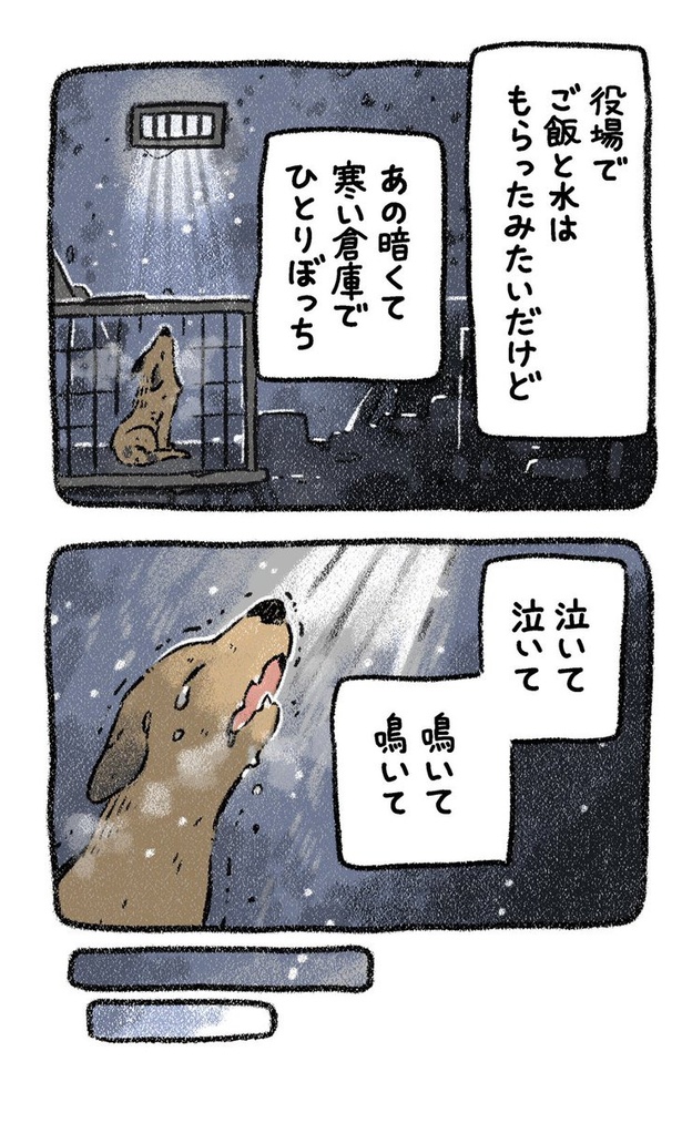 保護犬茶々のお話【第7話】(3) 