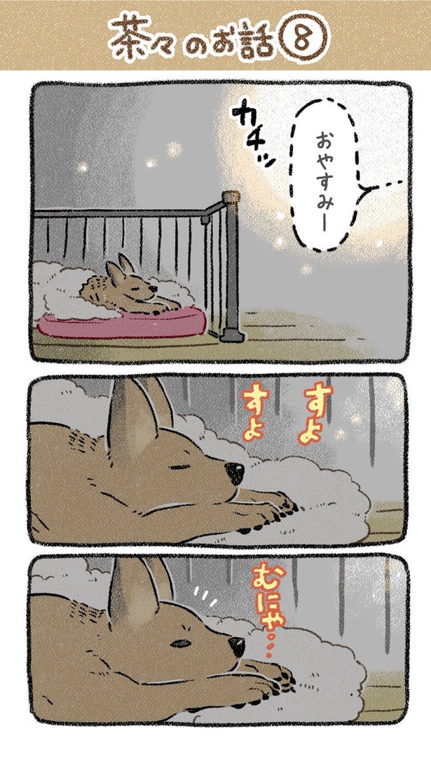 保護犬茶々のお話【第8話】(1) 