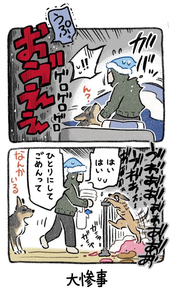 保護犬茶々のお話【第8話】(4) 